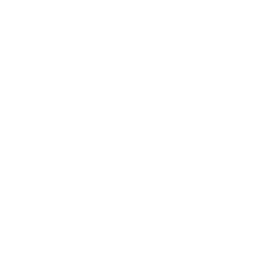 頻率探索